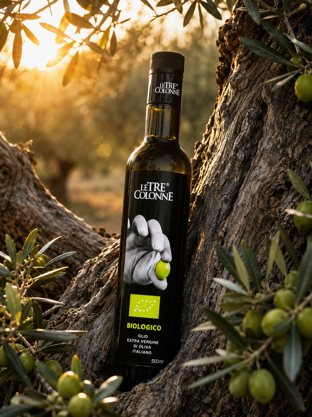 LE TRE COLONNE BIOLOGICO EVOO 500ML