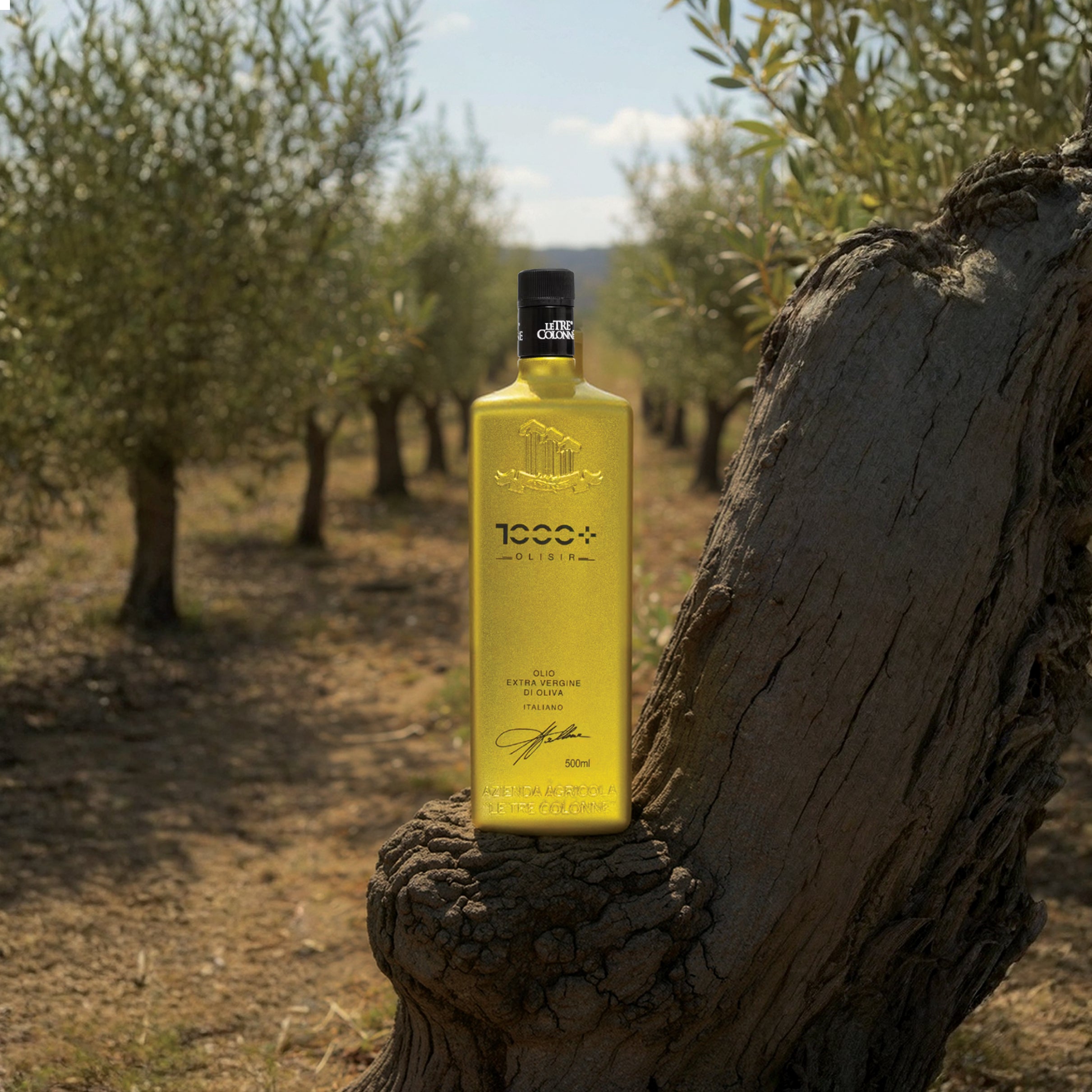 LE TRE COLONNE OLISIR 1000+ EVOO 500ML - Elisir